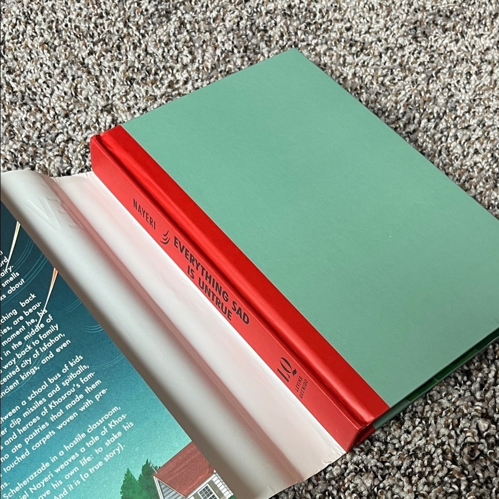 Everything Sad is Untrue Book Hard Cover - Picture 3 of 4